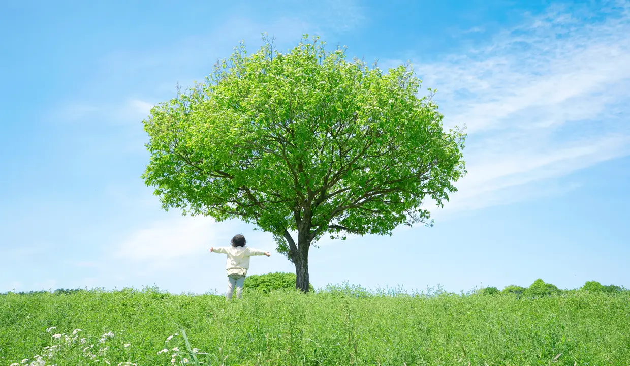 青空の下、草原の大きな木に向かって走る子ども